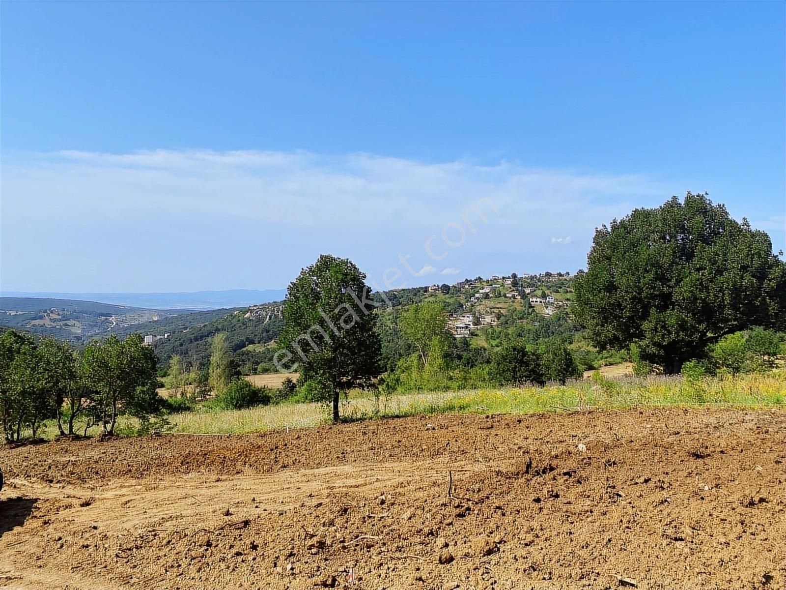 Güngörende Tek Tapu Resmi Yola Cephe Tel Örgüsü Çekili - Görsel 10