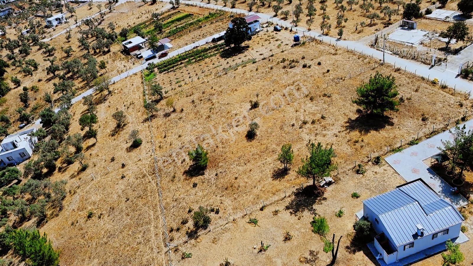Remax Arma'dan Dirmil'de Acil Satılık Zeytinlik Elektrik&su - Görsel 23
