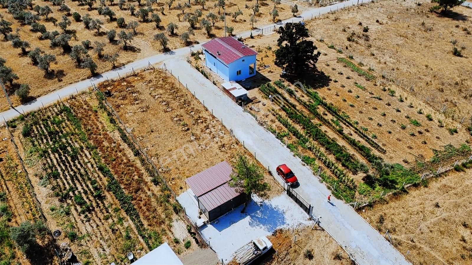 Remax Arma'dan Dirmil'de Acil Satılık Zeytinlik Elektrik&su - Görsel 26
