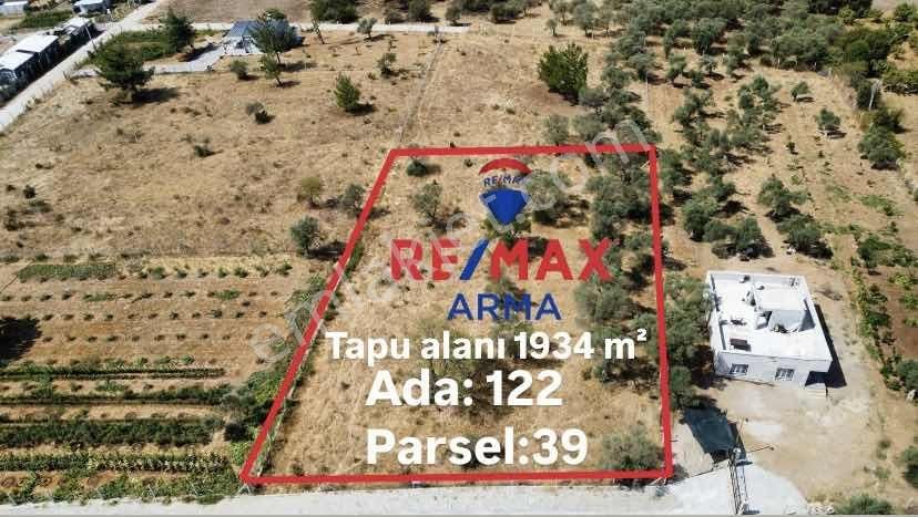 Remax Arma'dan Dirmil'de Acil Satılık Zeytinlik Elektrik&su - Görsel 12