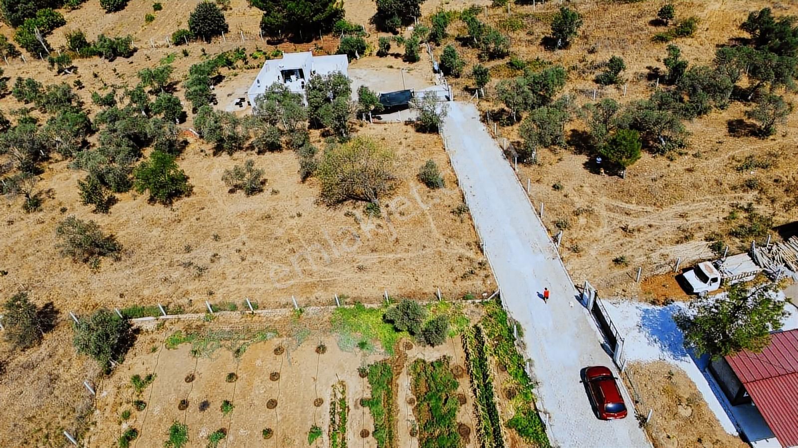 Remax Arma'dan Dirmil'de Acil Satılık Zeytinlik Elektrik&su - Görsel 15