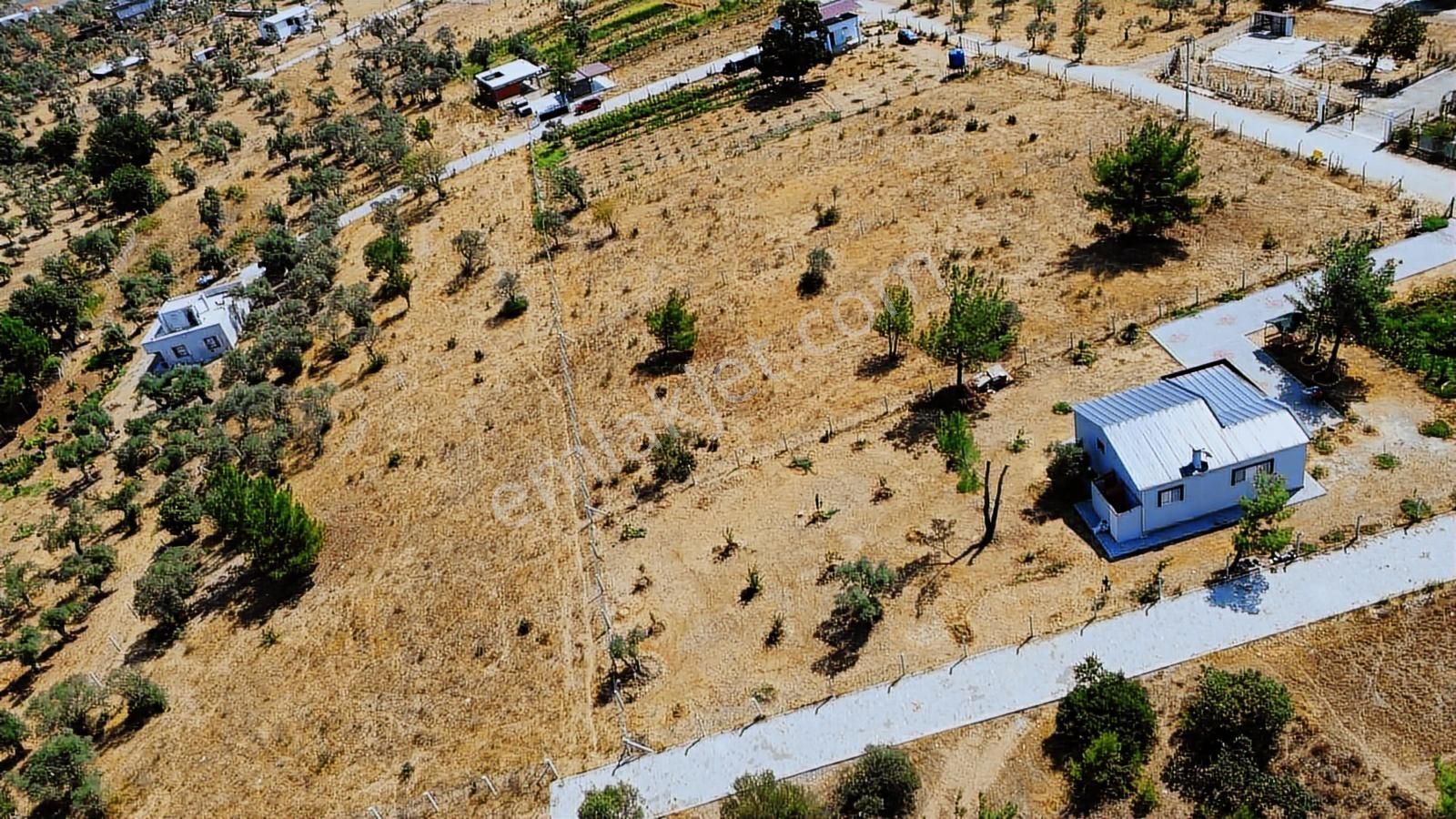 Remax Arma'dan Dirmil'de Acil Satılık Zeytinlik Elektrik&su - Görsel 18