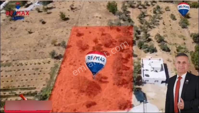Remax Arma'dan Dirmil'de Acil Satılık Zeytinlik Elektrik&su - Görsel 19