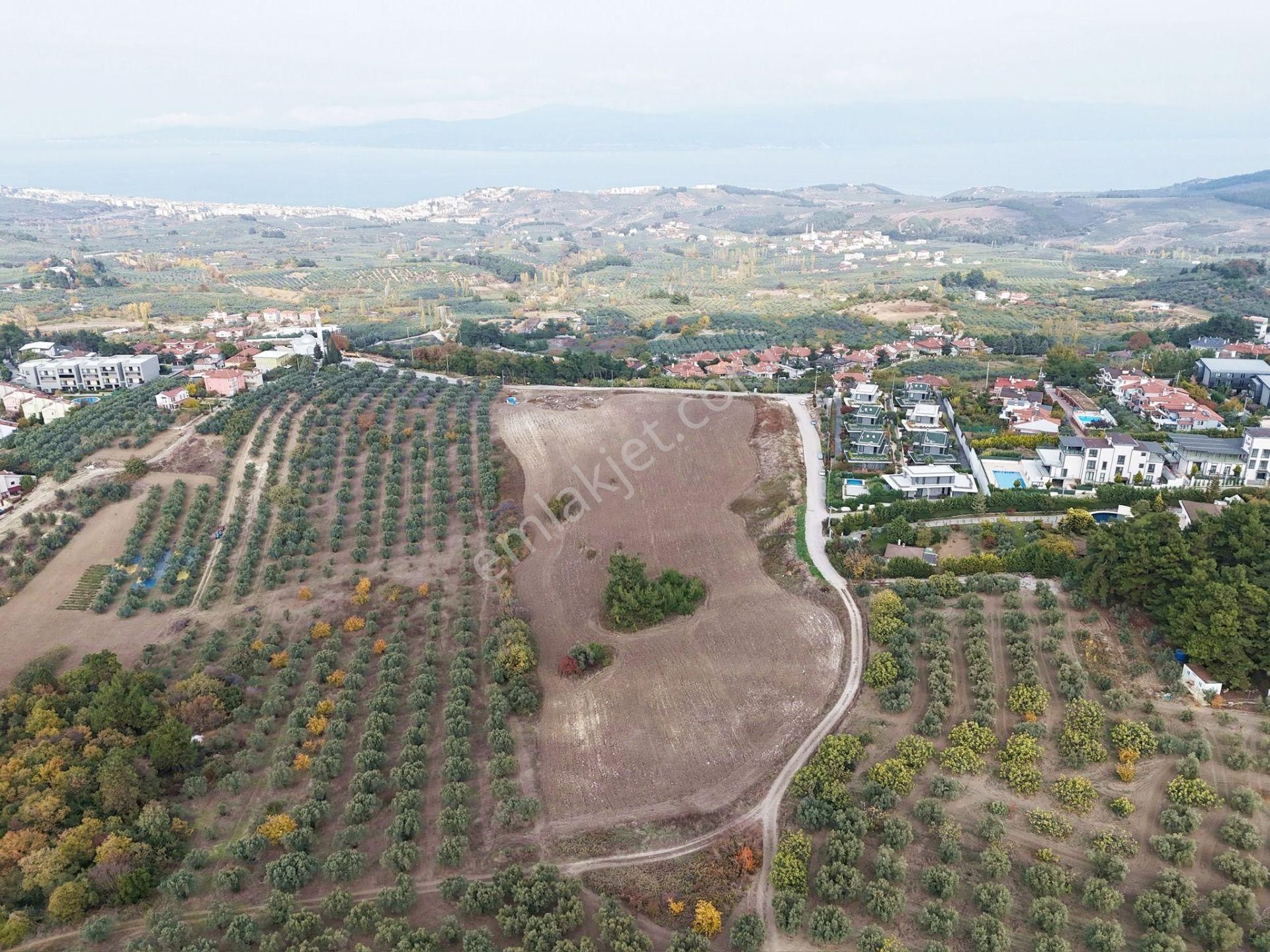 Mudanya Çağrışanda Deniz Manzaralı Satılık Villa İmarlı Arsa - Görsel 7