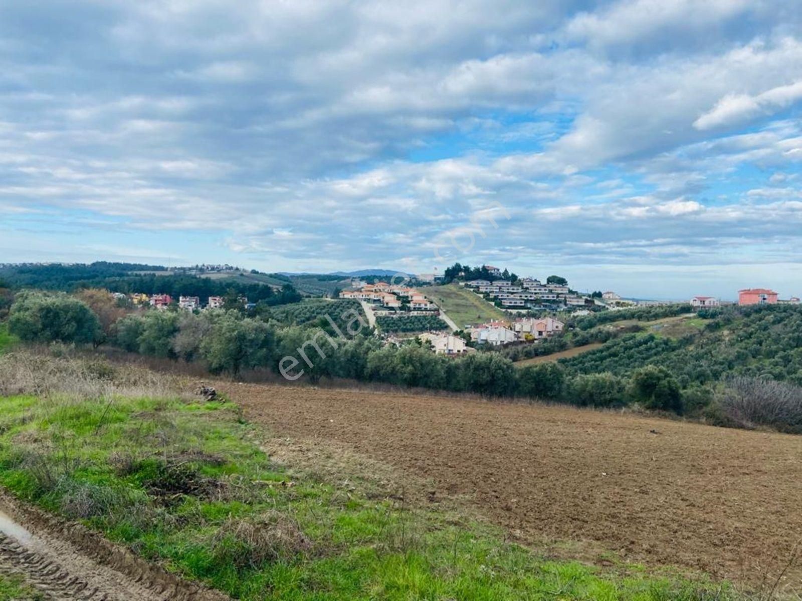 Mudanya Çağrışanda Deniz Manzaralı Satılık Villa İmarlı Arsa - Görsel 30