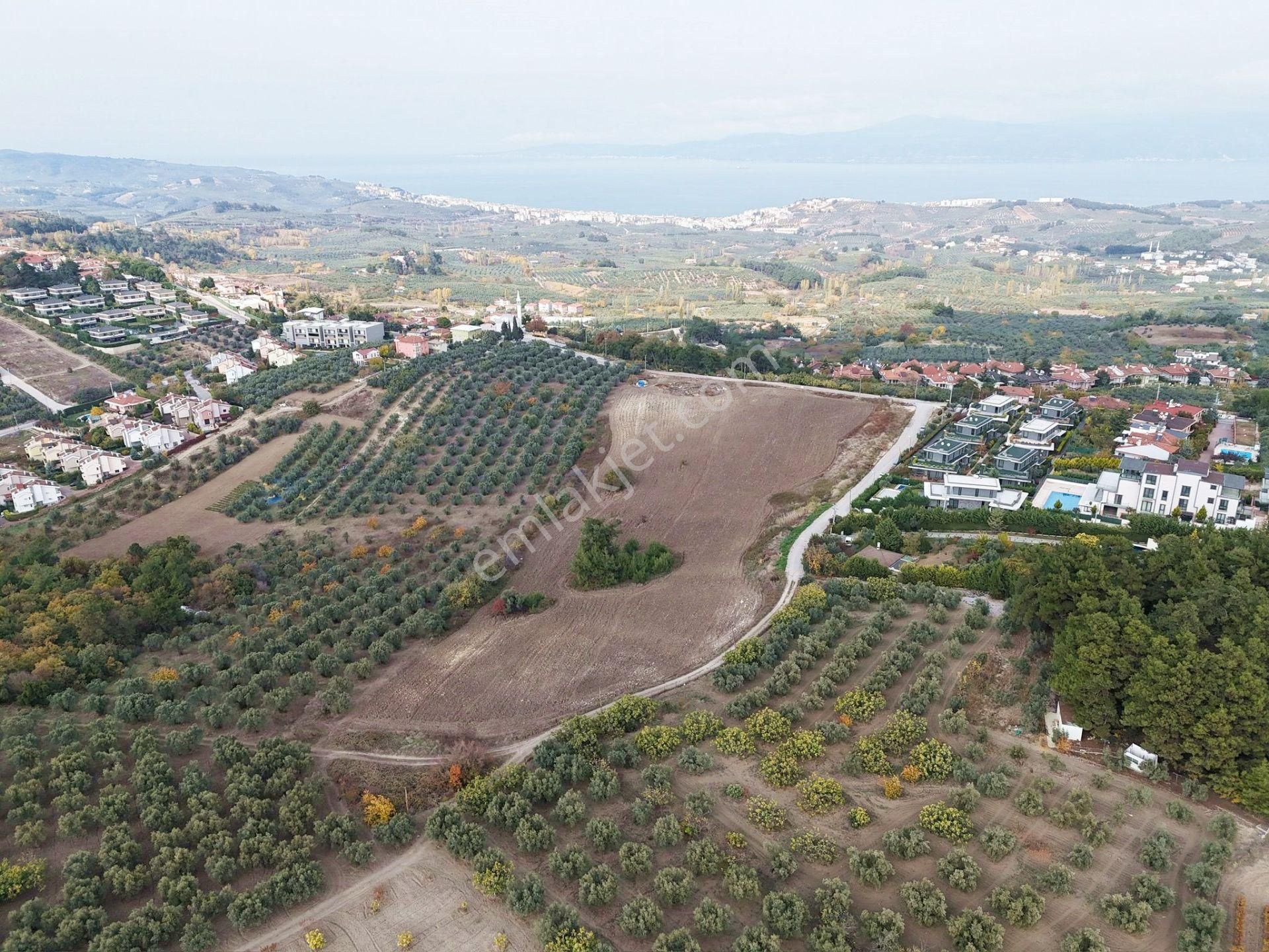 Mudanya Çağrışanda Deniz Manzaralı Satılık Villa İmarlı Arsa - Görsel 14