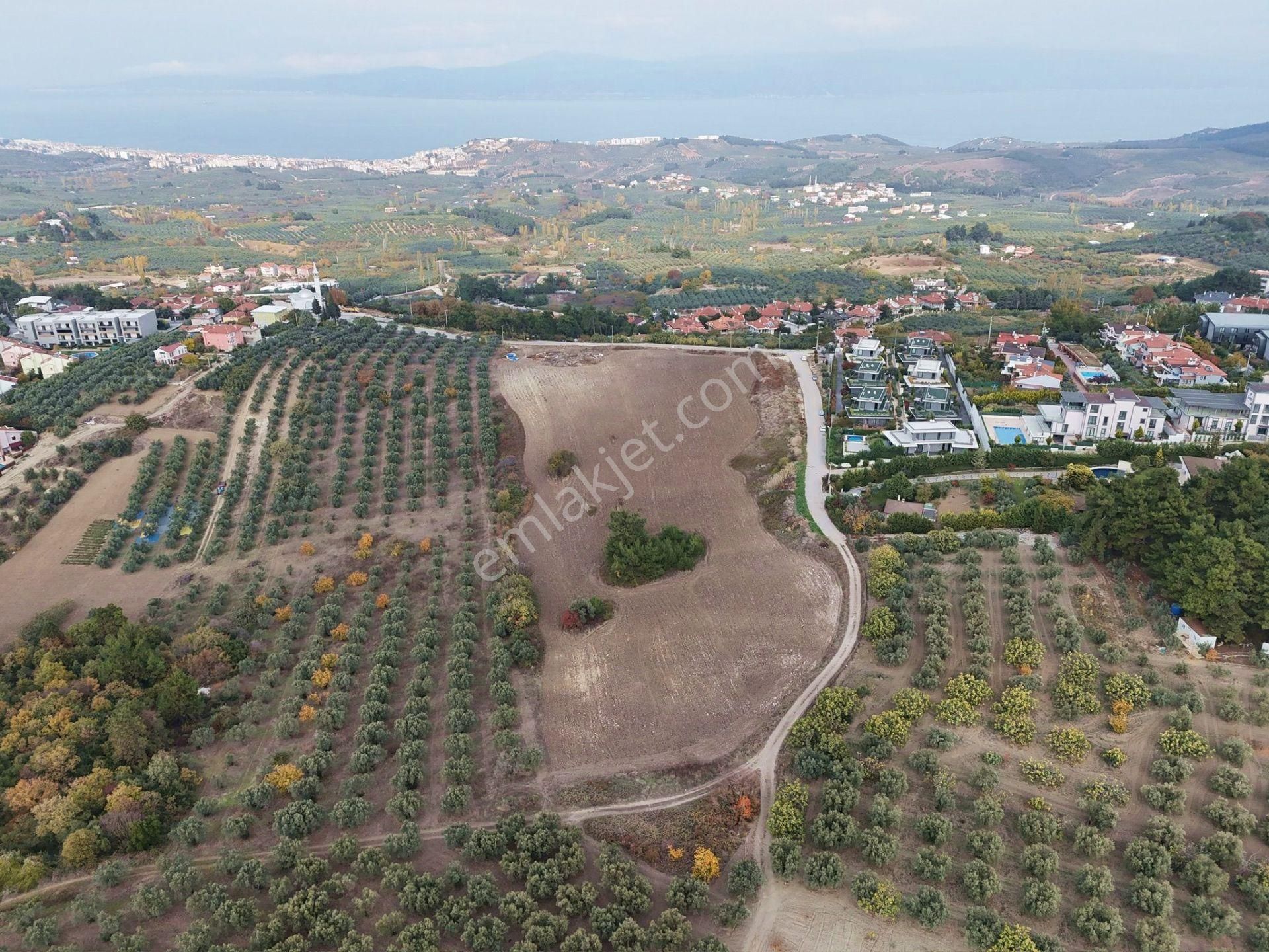 Mudanya Çağrışanda Deniz Manzaralı Satılık Villa İmarlı Arsa - Görsel 18