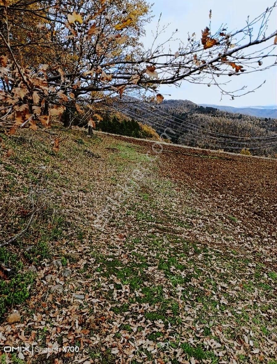Bursa,iznik,mecidiye Satılık Tarla - Görsel 3