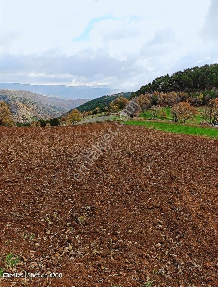 Bursa,iznik,mecidiye Satılık Tarla - Görsel 5
