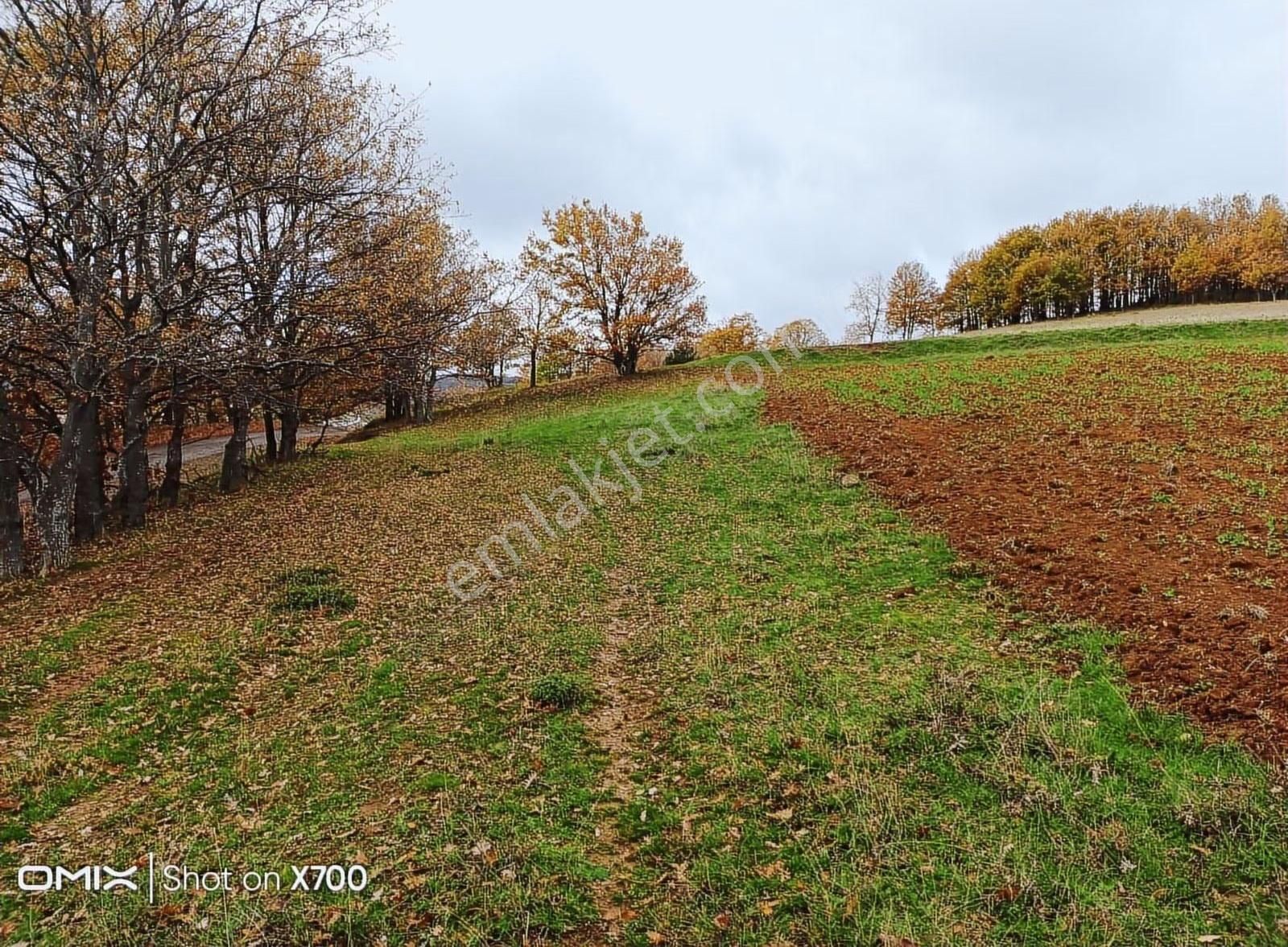 Bursa,iznik,mecidiye Satılık Tarla - Görsel 2