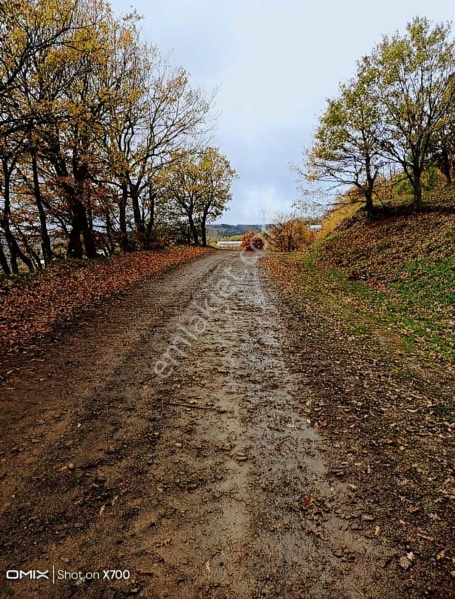 Bursa,iznik,mecidiye Satılık Tarla - Görsel 9