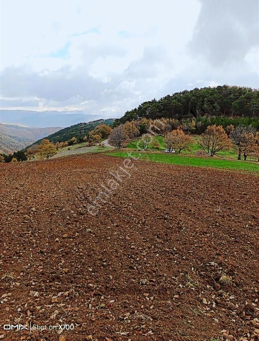 Bursa,iznik,mecidiye Satılık Tarla