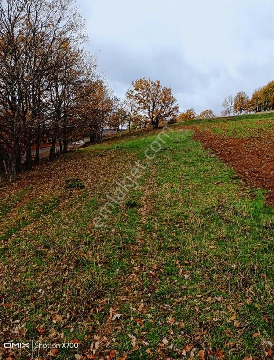 Bursa,iznik,mecidiye Satılık Tarla - Görsel 12