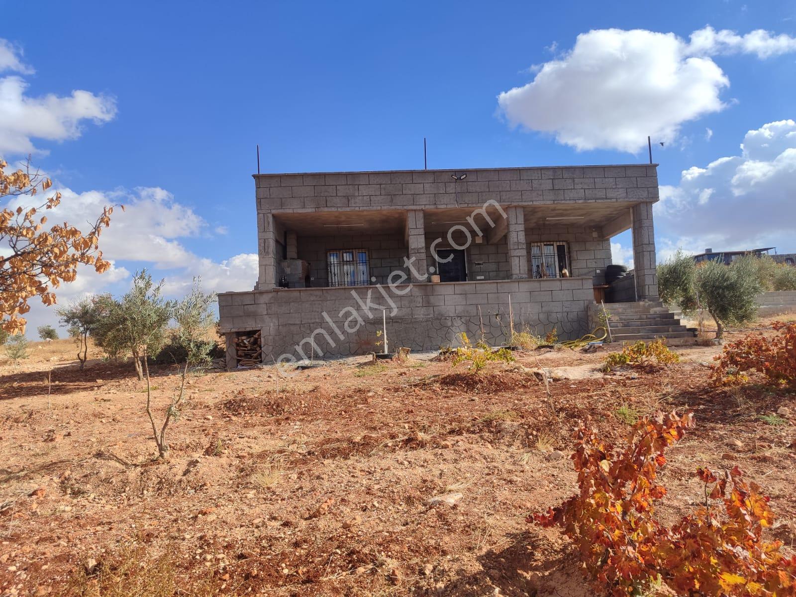 Arif Emlaktan Satılık Oğuzeli Subaşı Mahallesinde Tek Tapu Bağ Evi - Görsel 3