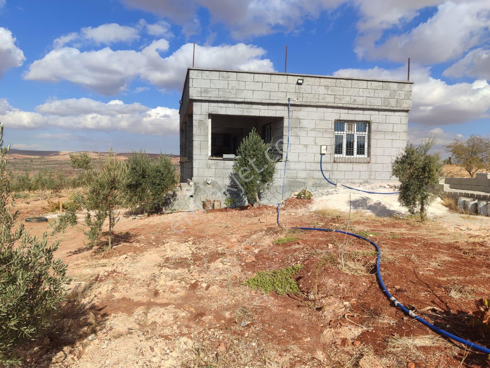 Arif Emlaktan Satılık Oğuzeli Subaşı Mahallesinde Tek Tapu Bağ Evi