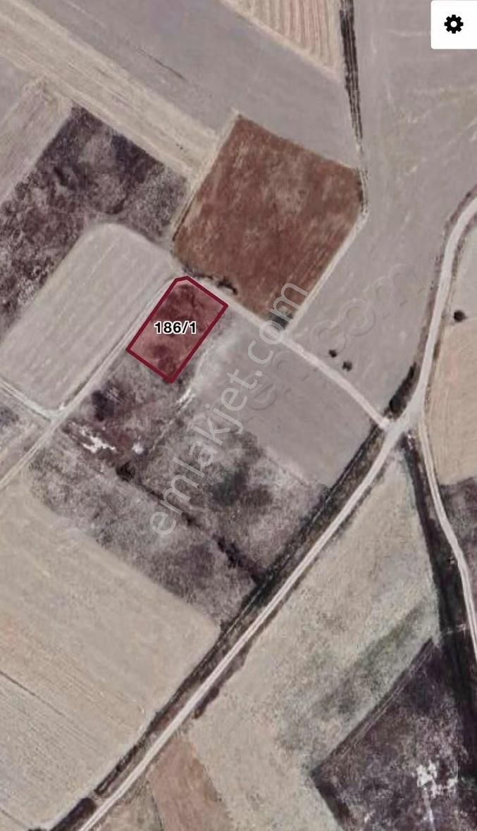 Satılık Tarla