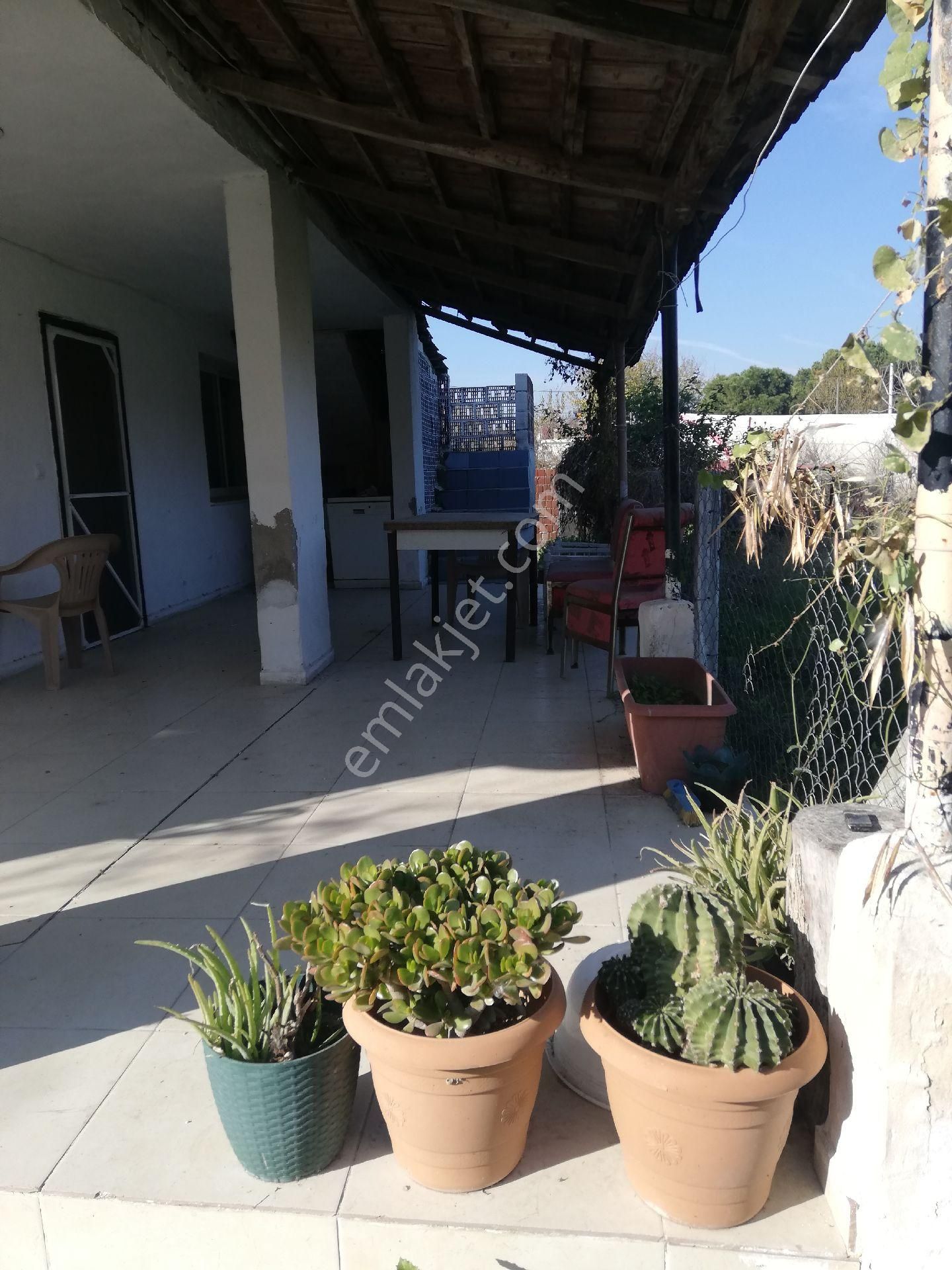 Söke Emlak Ofisinden Burunköy De Köy İçinde Çiftlik Evi - Görsel 7