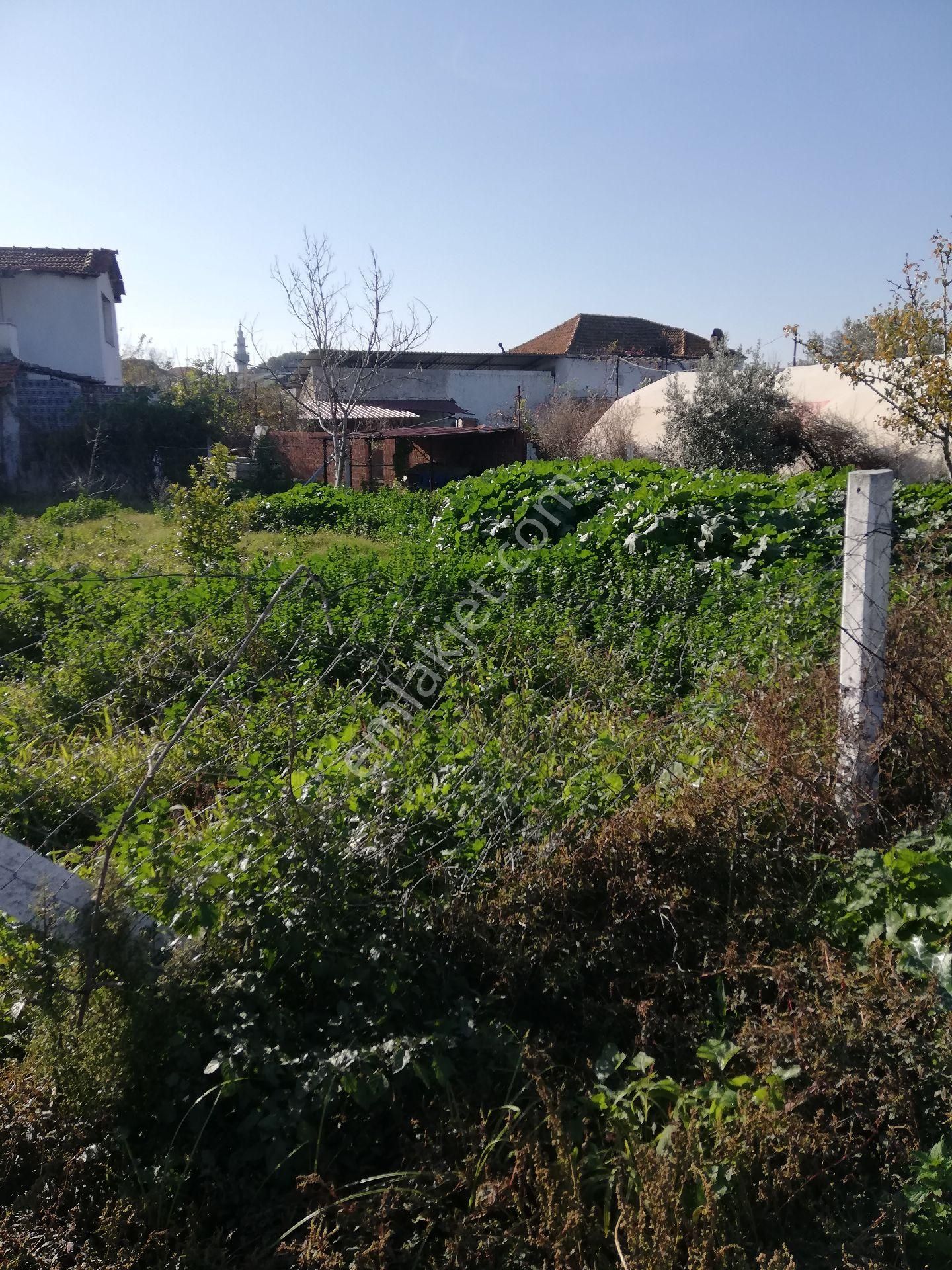 Söke Emlak Ofisinden Burunköy De Köy İçinde Çiftlik Evi - Görsel 3