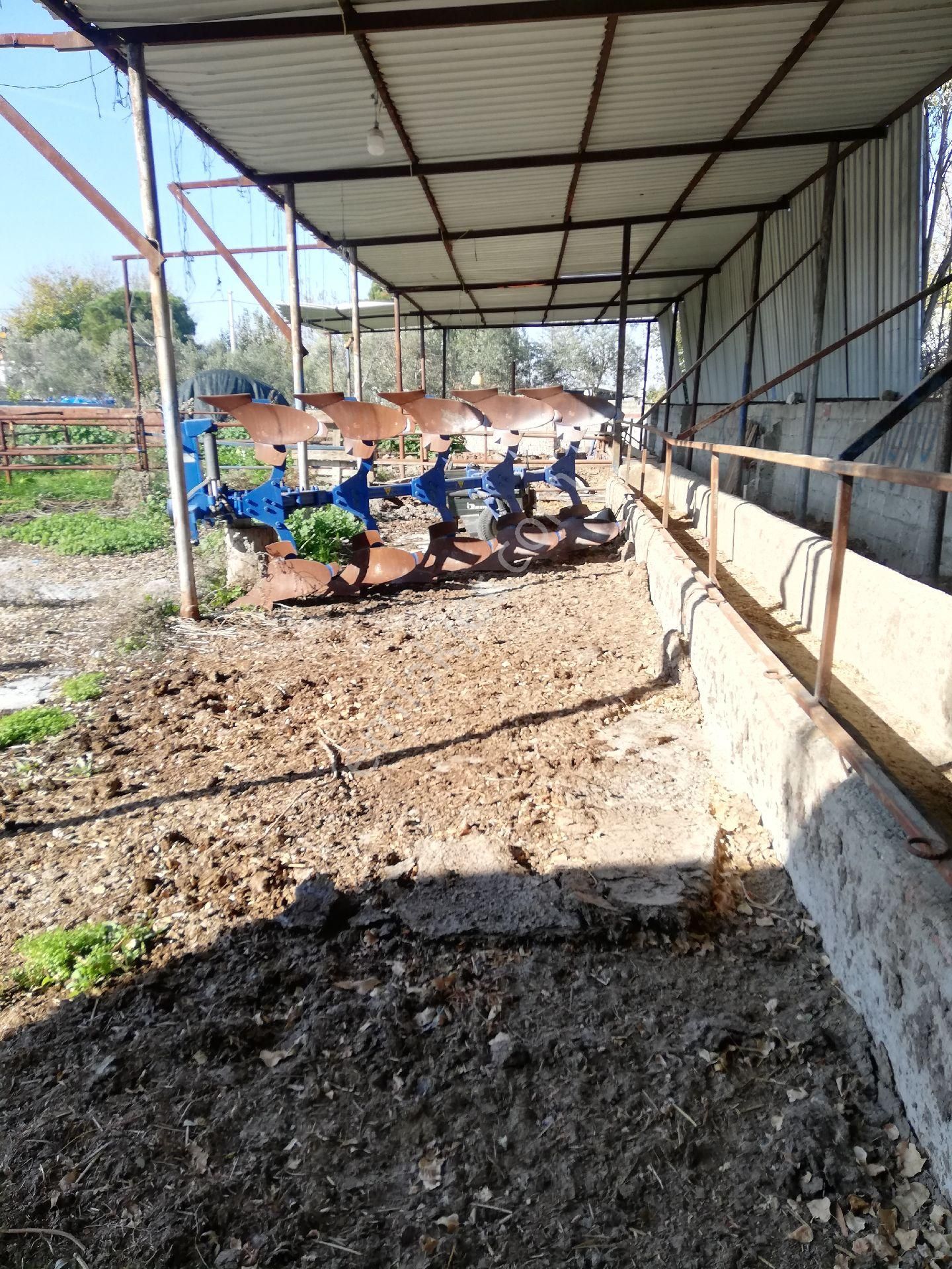 Söke Emlak Ofisinden Burunköy De Köy İçinde Çiftlik Evi - Görsel 18