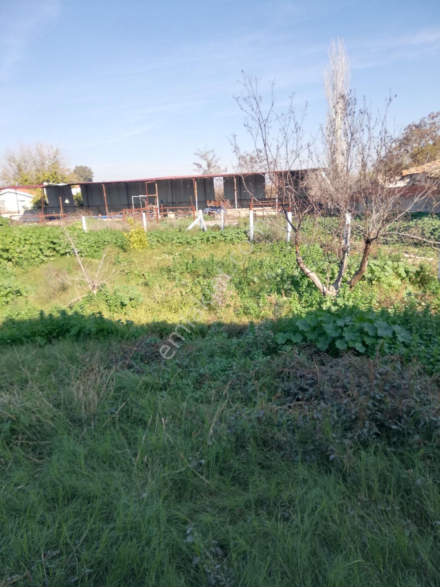 Söke Emlak Ofisinden Burunköy De Köy İçinde Çiftlik Evi - Görsel 13