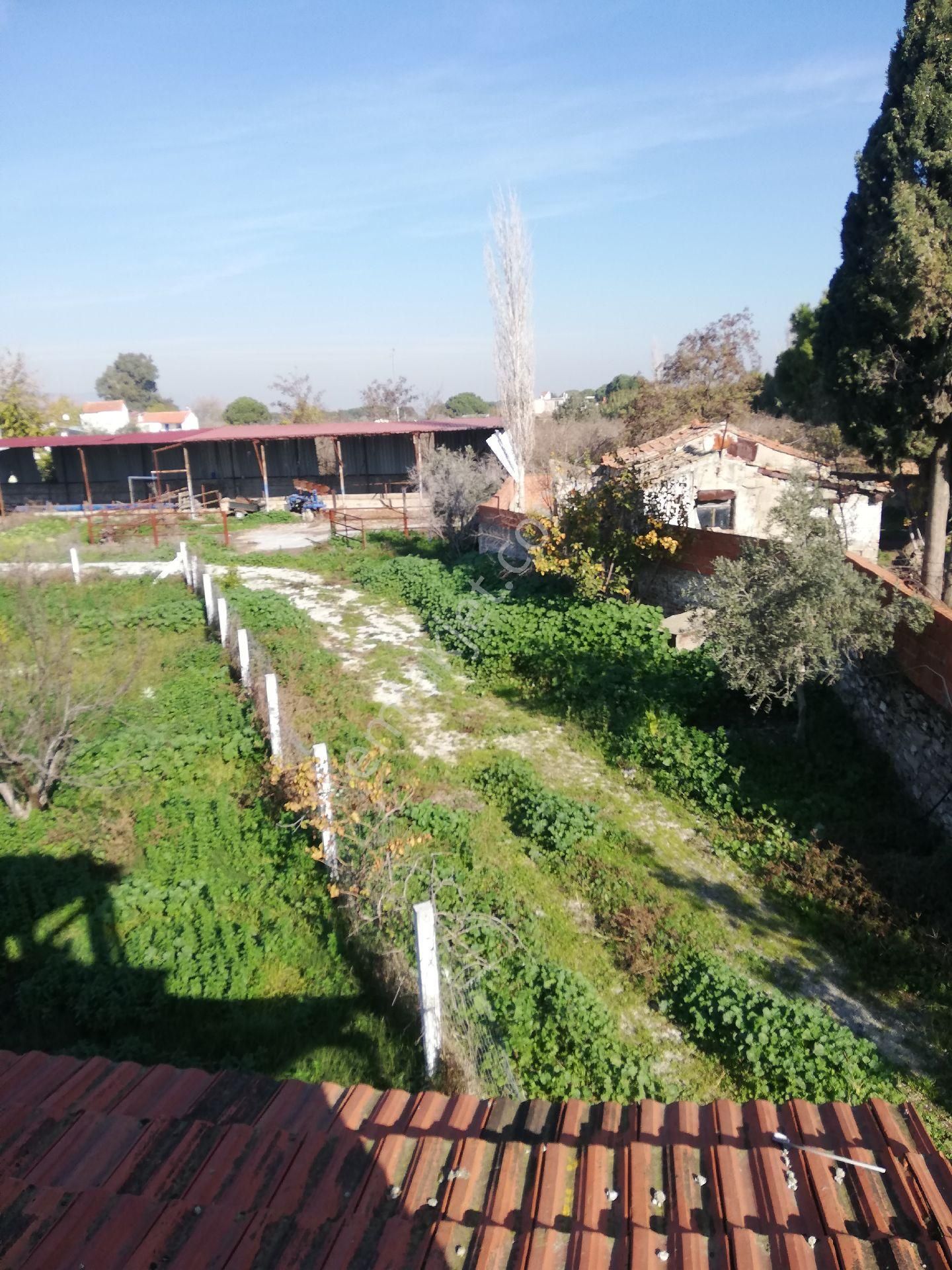 Söke Emlak Ofisinden Burunköy De Köy İçinde Çiftlik Evi - Görsel 10