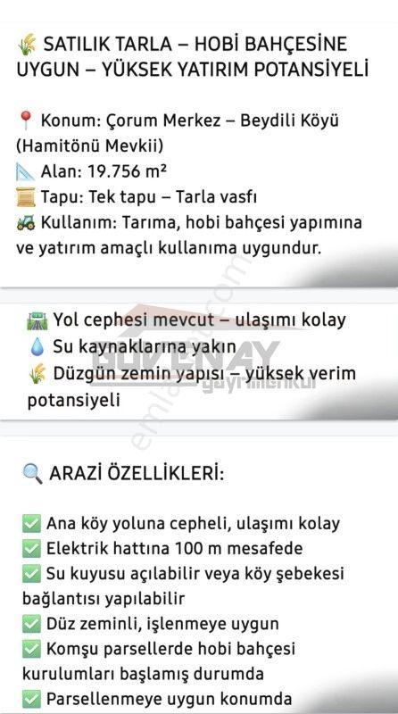 Satılık Tarla - Hobi Bahçesine Uygun - Yüksek Yatırım Potansiyeli Beydili Köyü Hamitönü Mevkii - Görsel 2