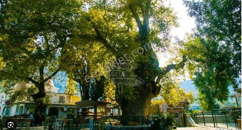 Rumeli World'den Bayır Köyünün Tam Merkezinde Çift Villalık Arsa - Görsel 35