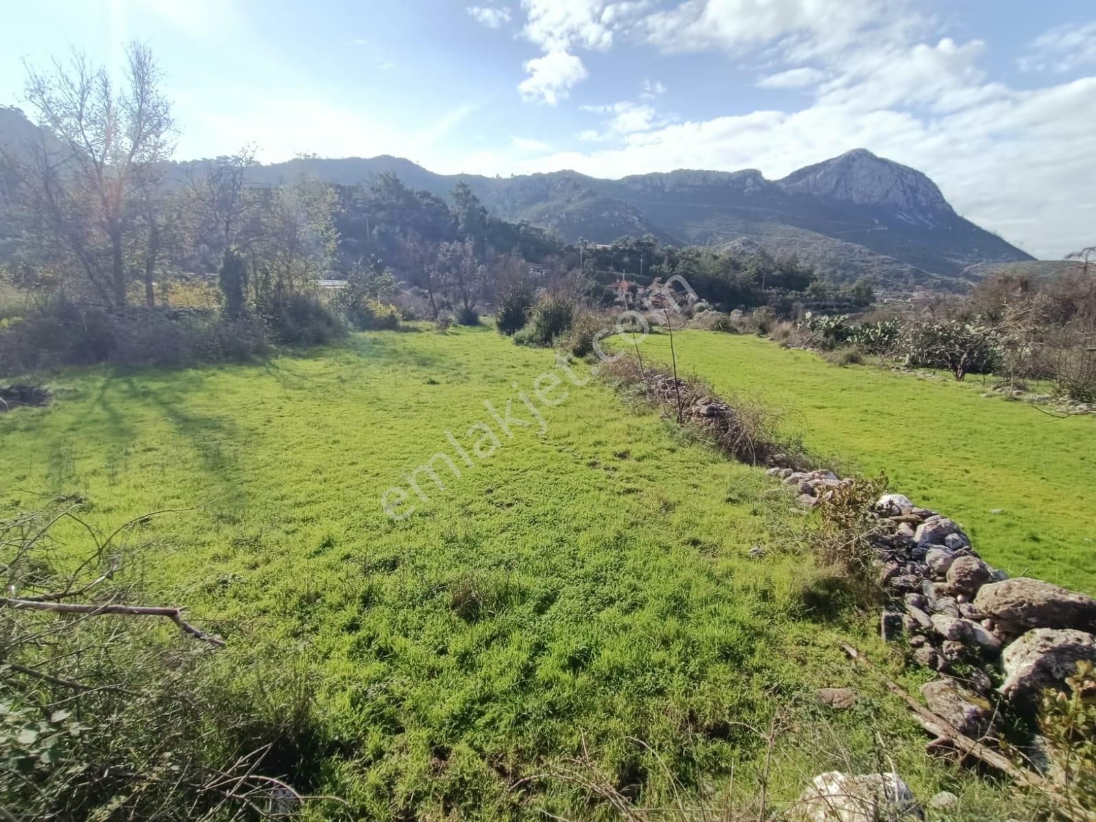 Rumeli World'den Bayır Köyünün Tam Merkezinde Çift Villalık Arsa - Görsel 20