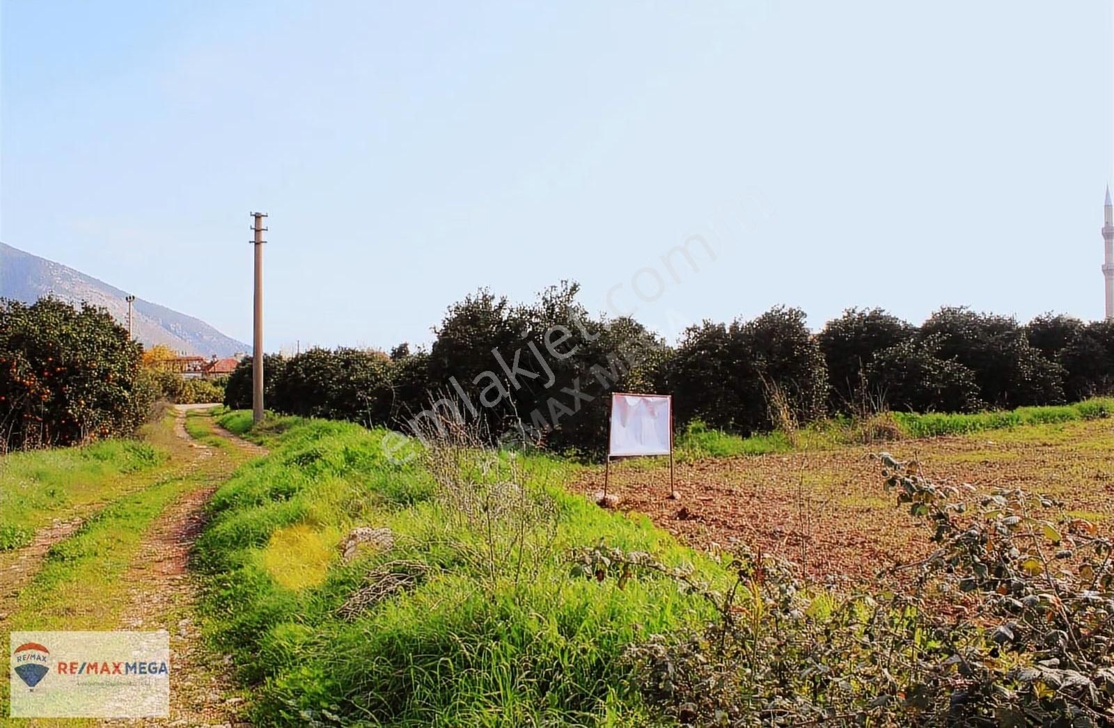 Finike Turunçovada Satılık Boş Bahçe - Görsel 2