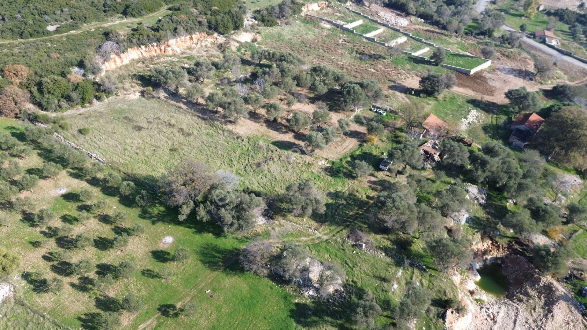 Karaburun Kösedere'de 2290 M² Doğa Manzaralı Düz Zemin Tarla - Görsel 20