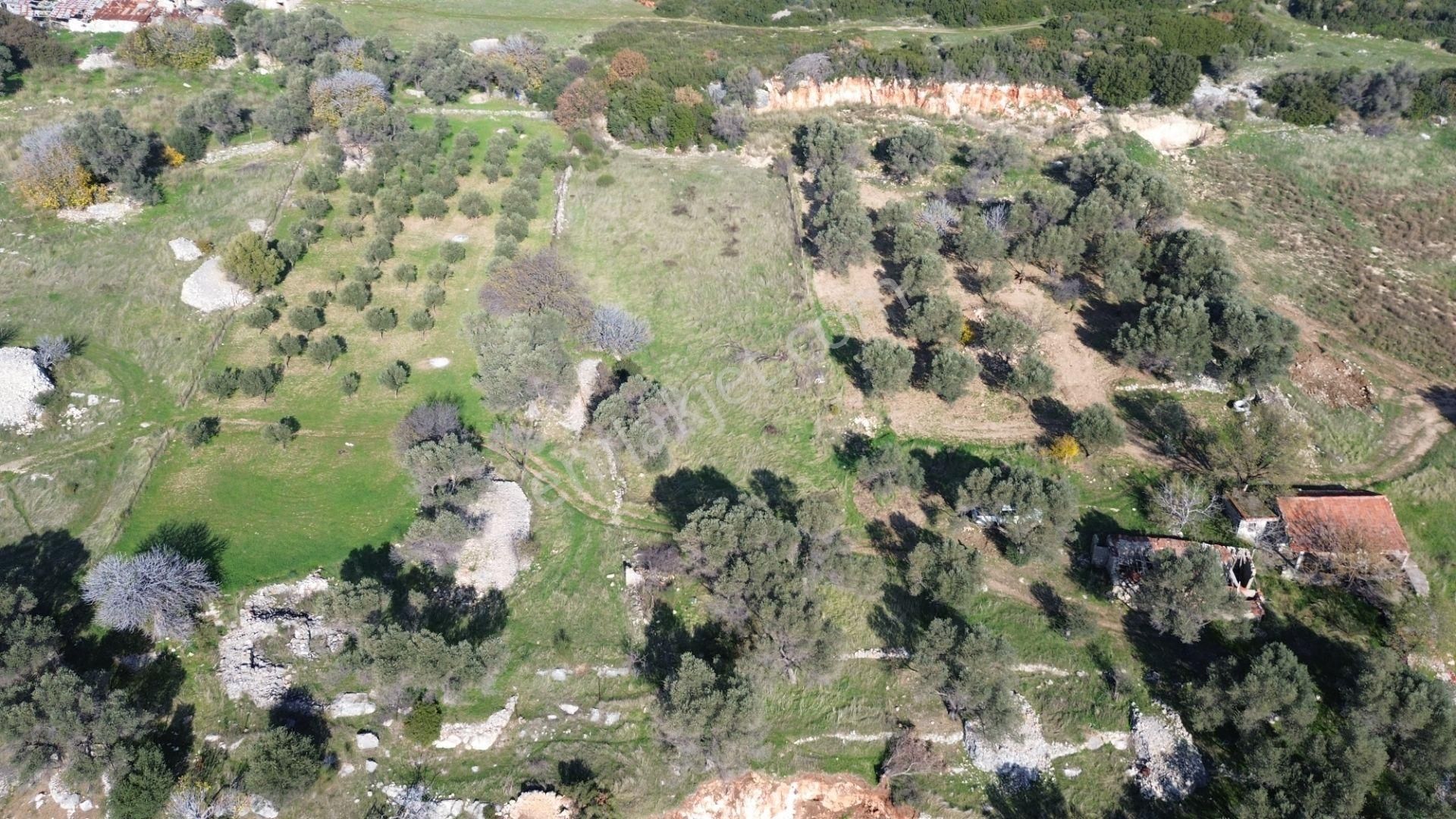 Karaburun Kösedere'de 2290 M² Doğa Manzaralı Düz Zemin Tarla - Görsel 19