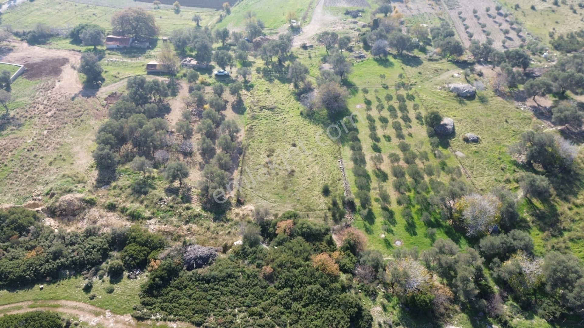 Karaburun Kösedere'de 2290 M² Doğa Manzaralı Düz Zemin Tarla - Görsel 21