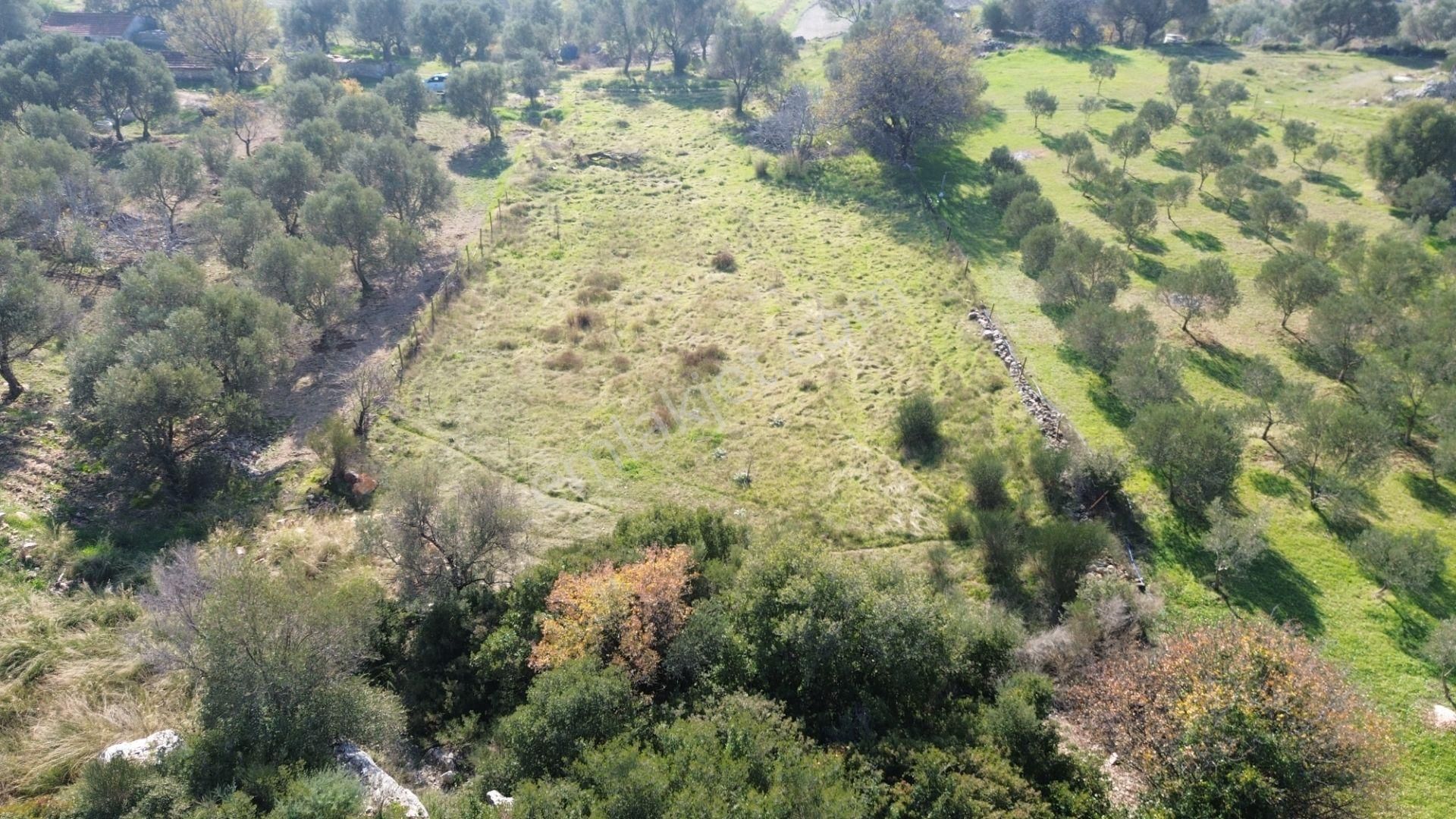 Karaburun Kösedere'de 2290 M² Doğa Manzaralı Düz Zemin Tarla - Görsel 25