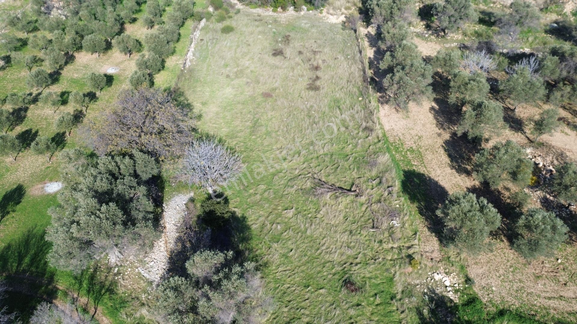 Karaburun Kösedere'de 2290 M² Doğa Manzaralı Düz Zemin Tarla - Görsel 26