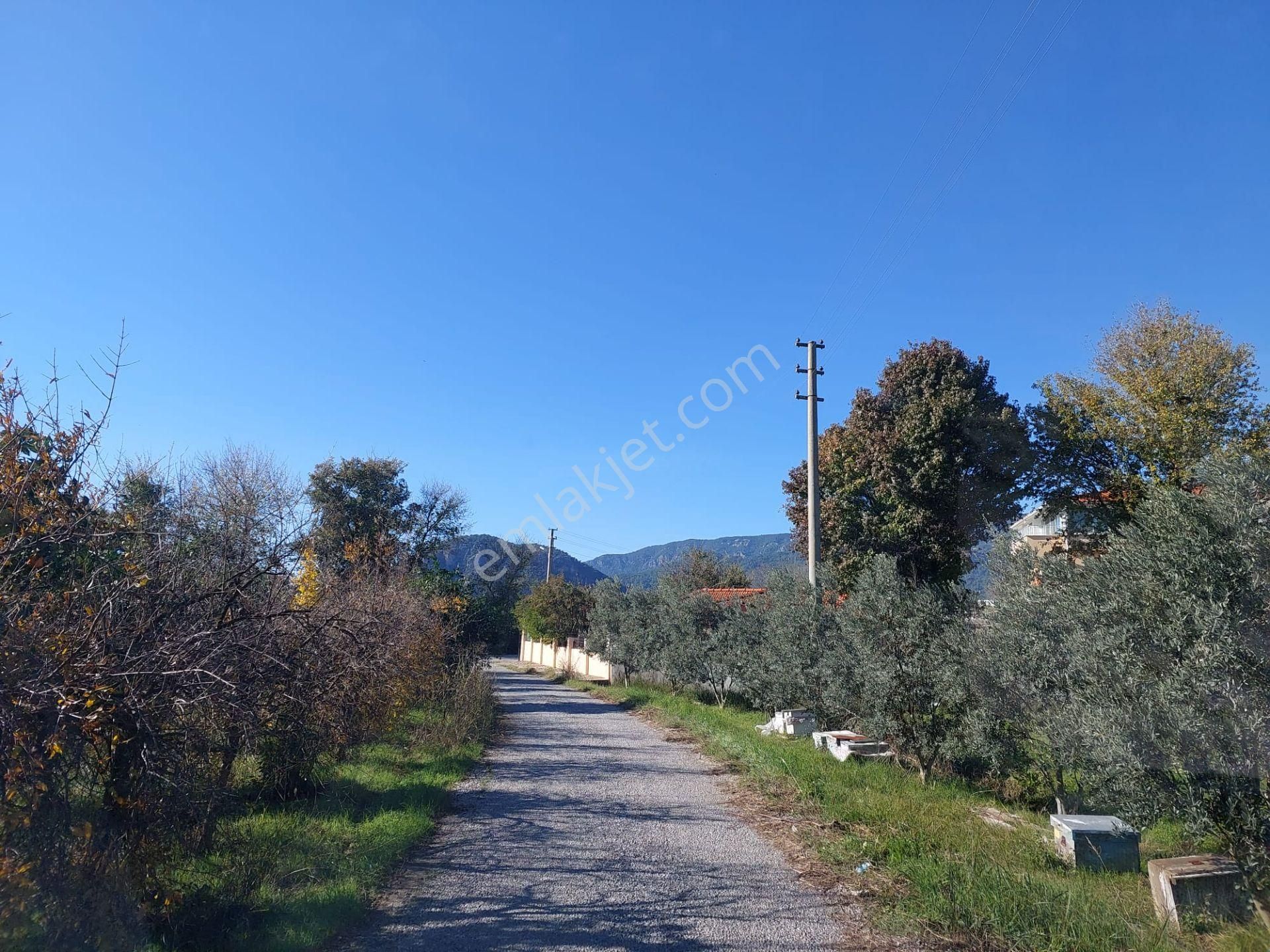 Mugla Dalyan Da 150 M2 İnşaat Hakkı Olan 4 500 M2 Arazi Satılık Veya Takas - Görsel 3
