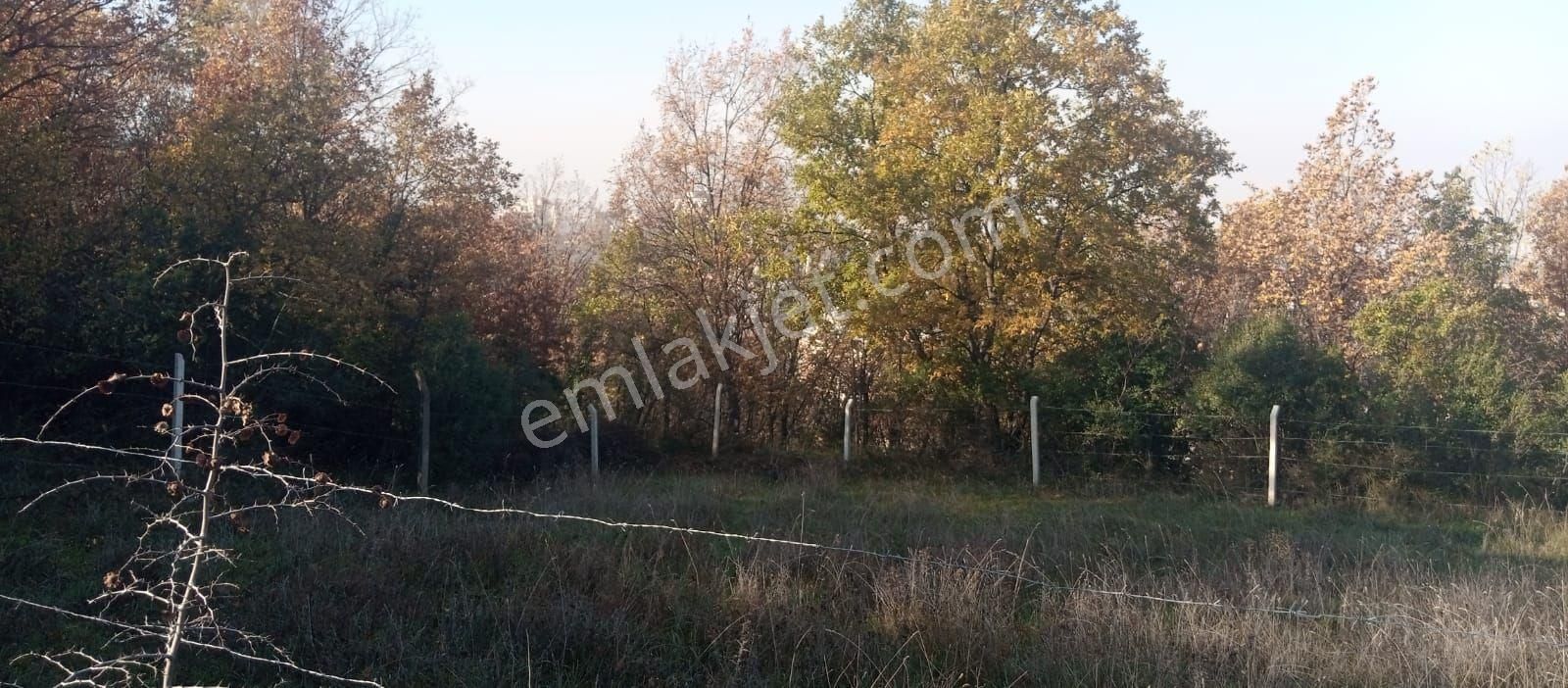 Bursa Yıldırım 75.yıl Mahallesi'nde 332 M2 Hisse - Görsel 12