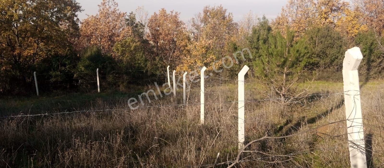 Bursa Yıldırım 75.yıl Mahallesi'nde 332 M2 Hisse - Görsel 5