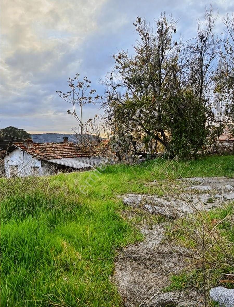 Köy Emlaktan Taş Ev Ve Bahçe Satışa Sunulmuştur. - Görsel 24