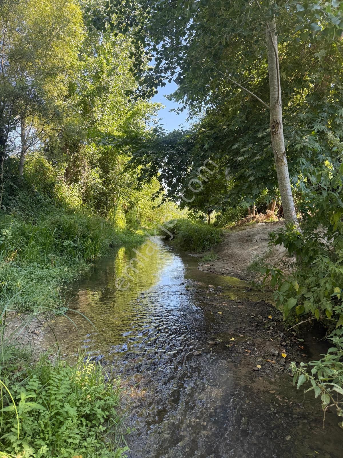 Acill Muakafatlı Yapı Kayıt Belgeli - Yapılı Ev+arsa-aktif Gayrimenkul - Görsel 12