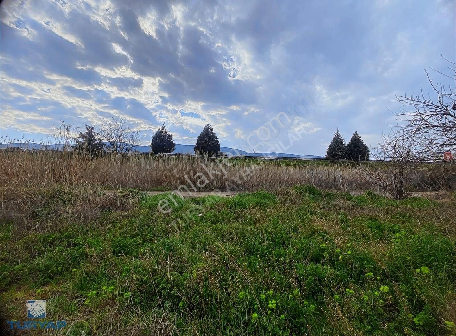 Turyap'tan Torbalı Yeniköy'de Yol Kenarı Satılık Tarla,zeytinlik - Görsel 3