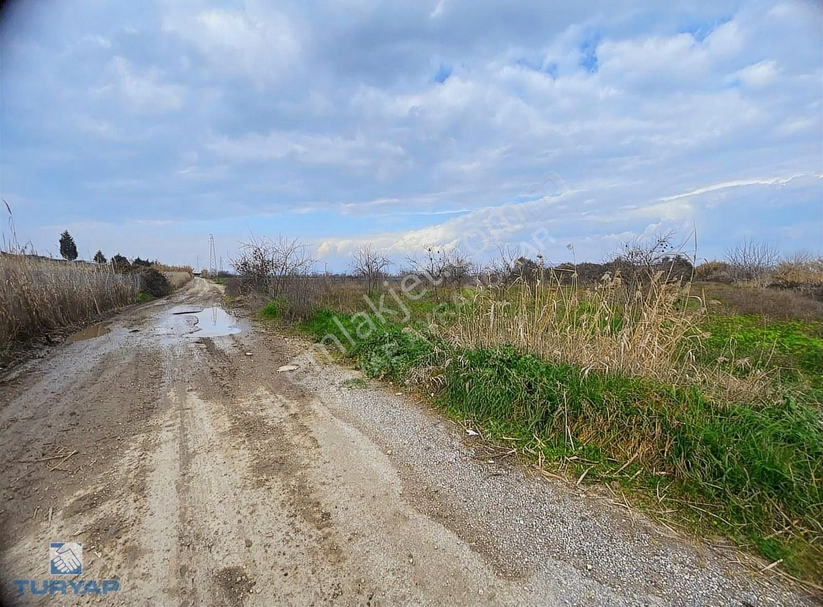 Turyap'tan Torbalı Yeniköy'de Yol Kenarı Satılık Tarla,zeytinlik - Görsel 2