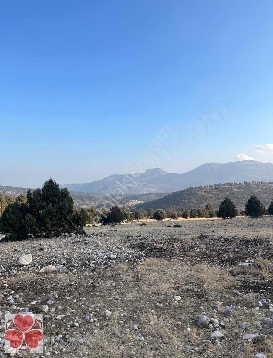 Yonca'dan Toroslar Tırtar'da Satılık Tarla