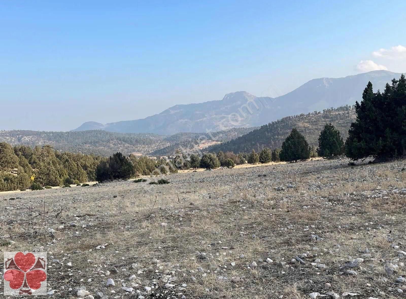 Yonca'dan Toroslar Tırtar'da Satılık Tarla - Görsel 4