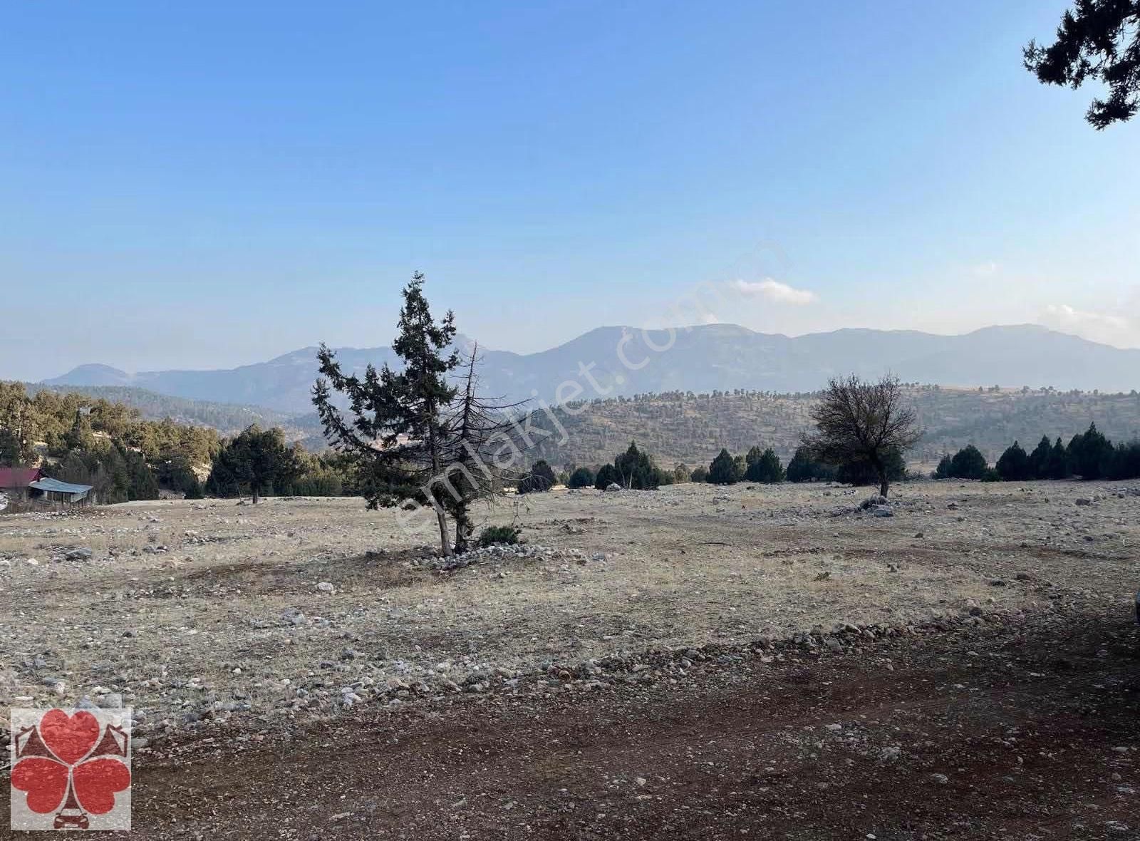 Yonca'dan Toroslar Tırtar'da Satılık Tarla - Görsel 3