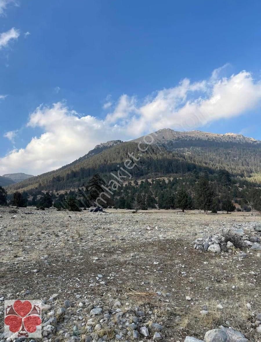 Yonca'dan Toroslar Tırtar'da Satılık Tarla - Görsel 5