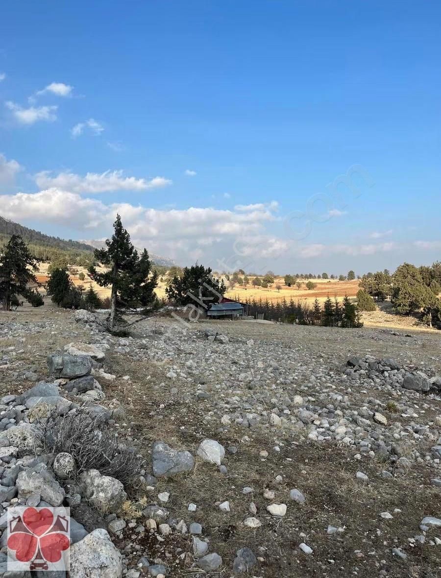 Yonca'dan Toroslar Tırtar'da Satılık Tarla - Görsel 13