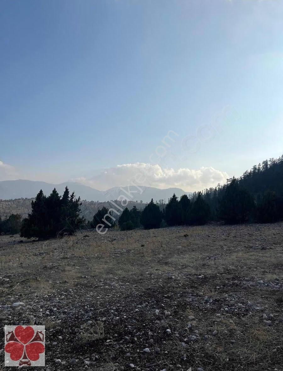 Yonca'dan Toroslar Tırtar'da Satılık Tarla - Görsel 16