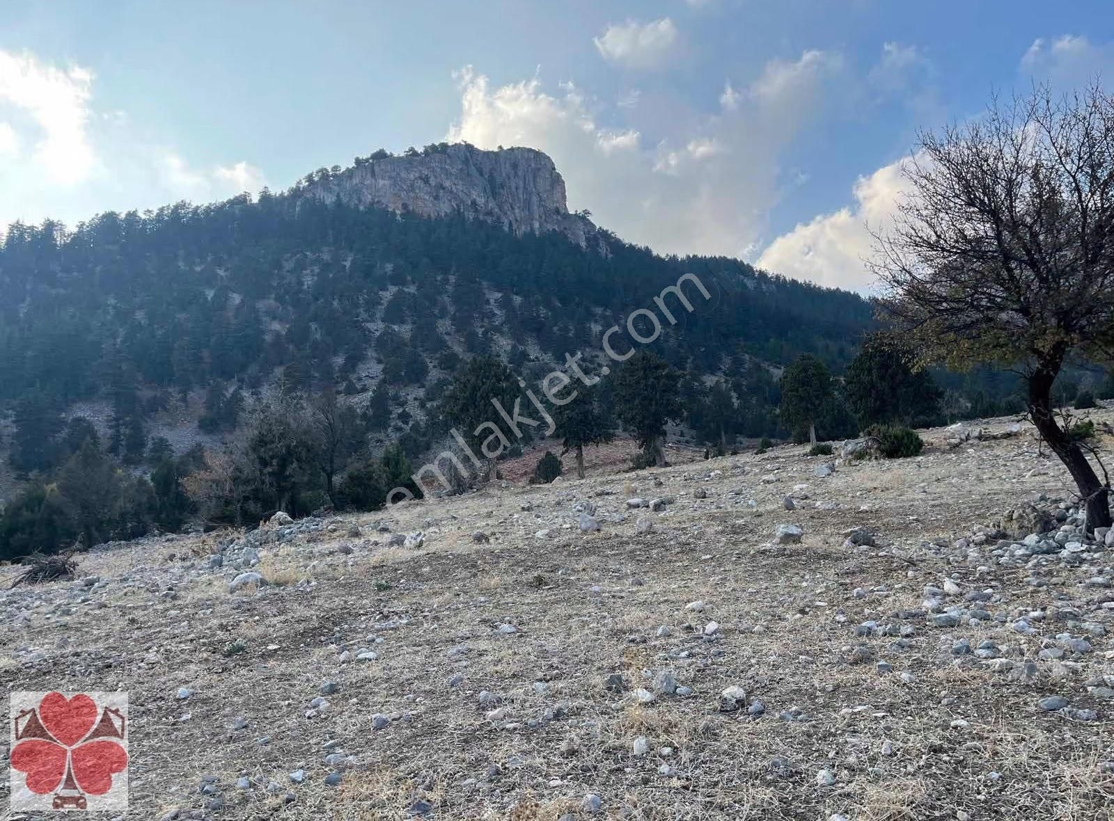 Yonca'dan Toroslar Tırtar'da Satılık Tarla - Görsel 9