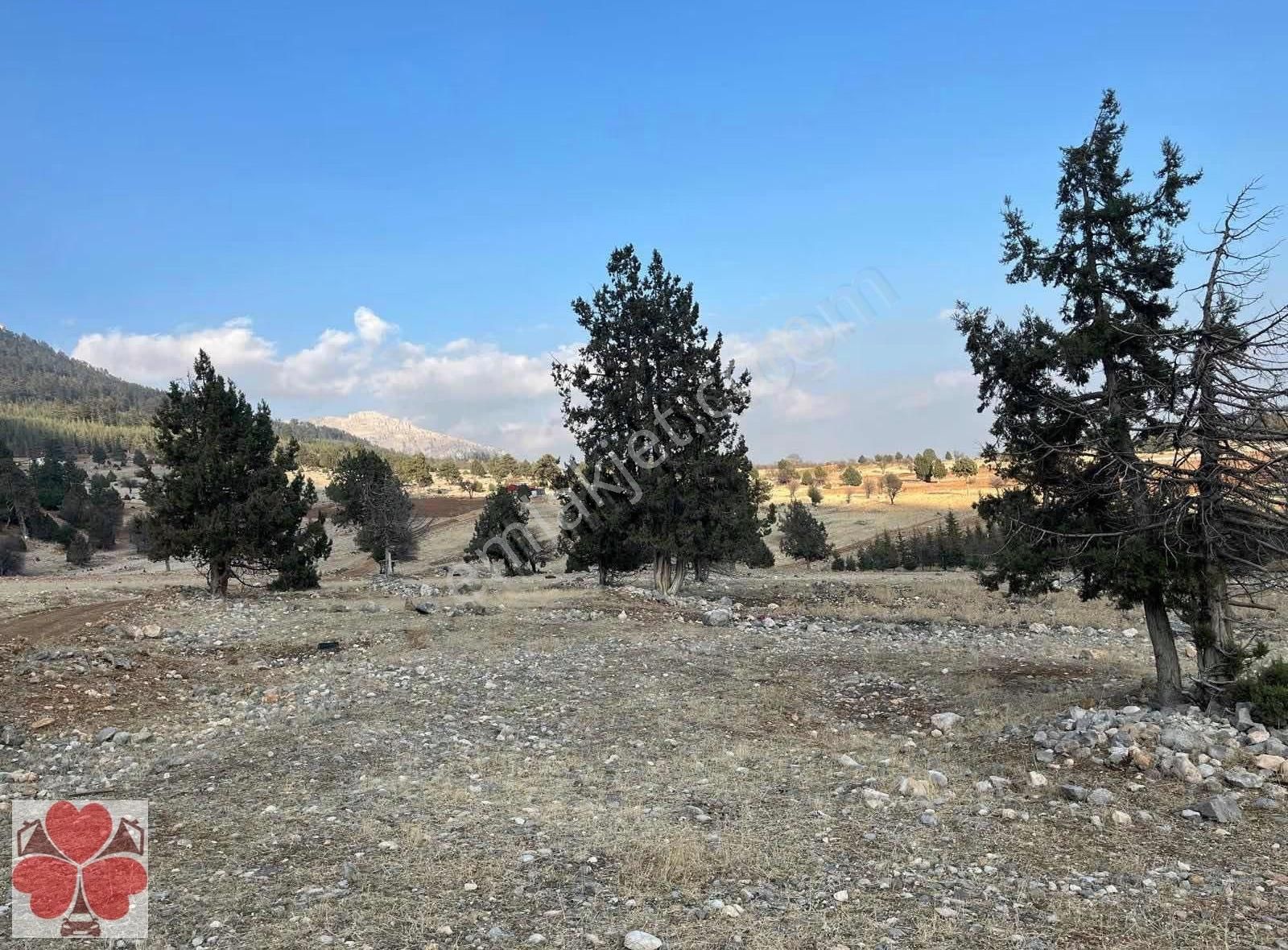 Yonca'dan Toroslar Tırtar'da Satılık Tarla - Görsel 2