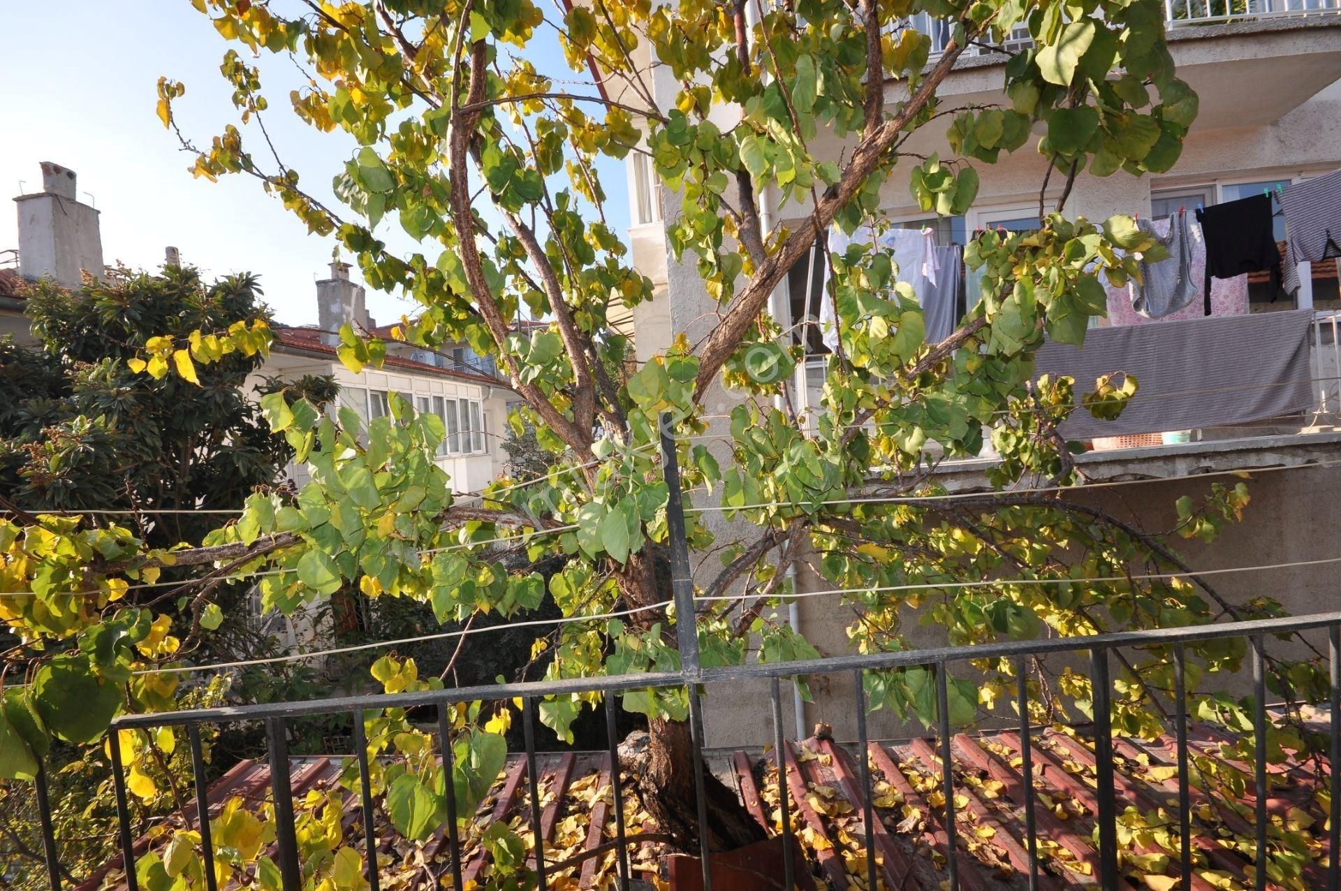 Cumhuriyet Mh. Satılık 3+1 Daire - Görsel 17